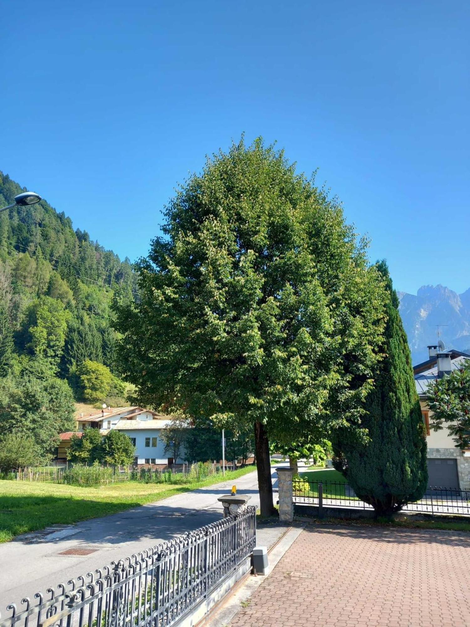 Verdi Armonie Rooms And Wellness Lozzo Cadore Exterior foto